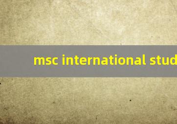 msc international studies